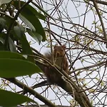 Insolite Dans Un Sampigny