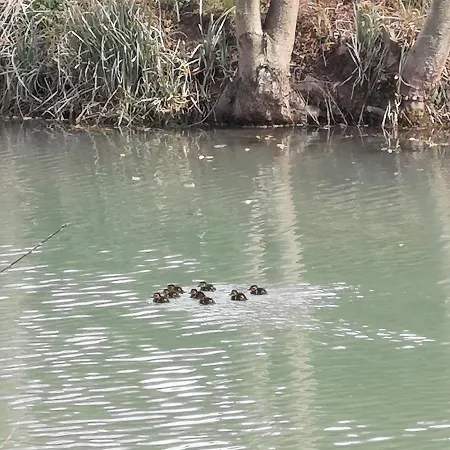 Insolite Dans Un Nocleg ze śniadaniem Sampigny