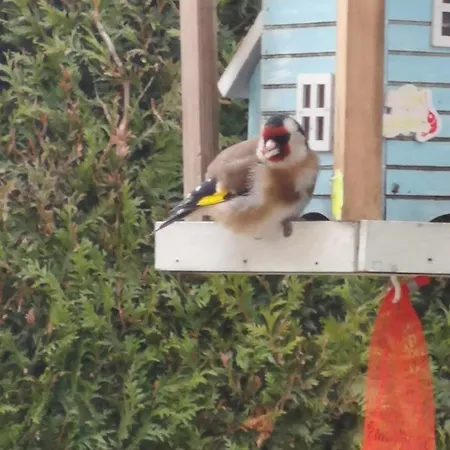 Insolite Dans Un *
