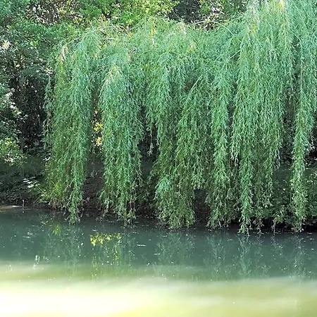 Panzió Insolite Dans Un