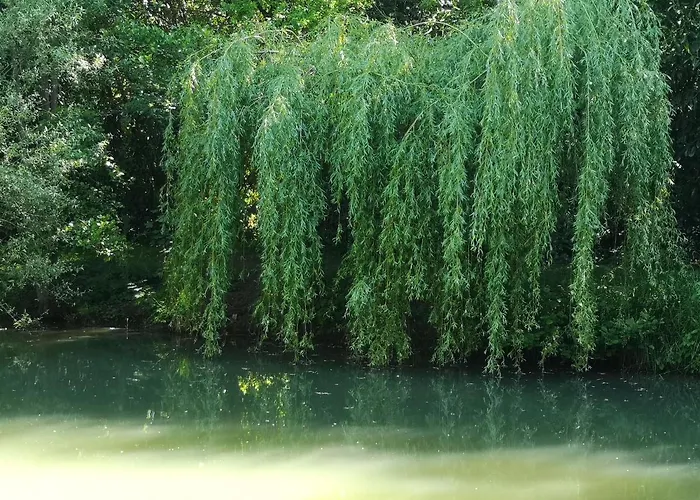 Insolite Dans Un לינה וארוחת בוקר 3*