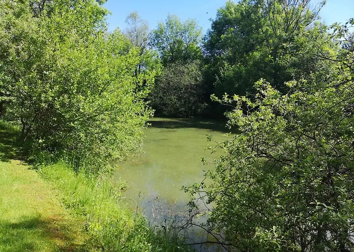 Insolite Dans Un 3* Sampigny