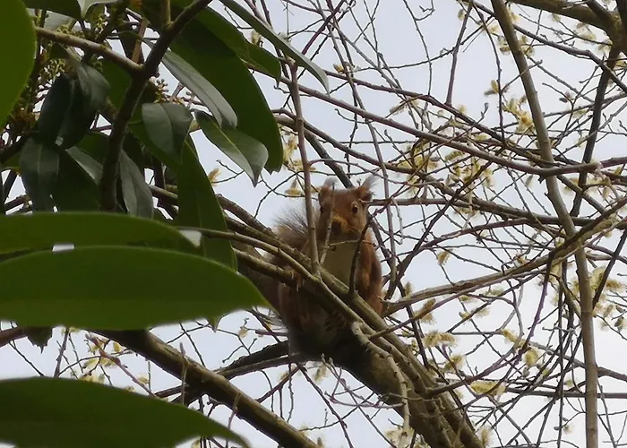 Insolite Dans Un Sampigny